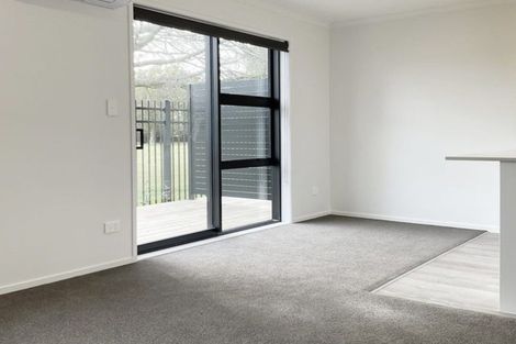 Photo of property in 5u6 Arawa Street, Frankton, Hamilton, 3204
