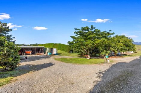Photo of property in 342 Youngson Road, Whakamarama, Tauranga, 3179