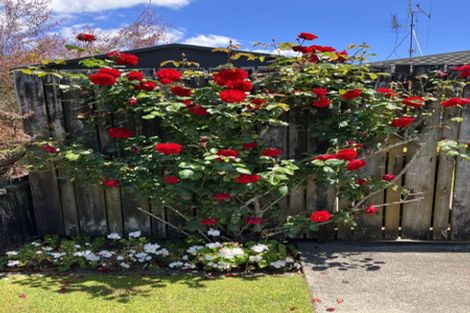 Photo of property in 139 Townhead Crescent, Bethlehem, Tauranga, 3110