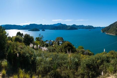 Photo of property in 318 Port Underwood Road, Whatamango Bay, Picton, 7281