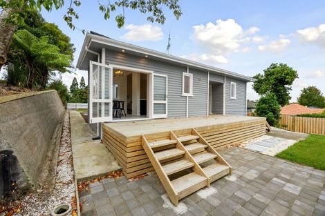 Photo of property in 17 Hinau Street, Maeroa, Hamilton, 3200