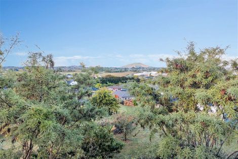Photo of property in 283 Picquet Hill Road, Te Awamutu, 3800