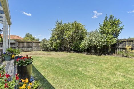 Photo of property in 15 Galway Avenue, Hamilton East, Hamilton, 3216