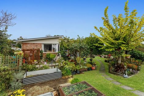 Photo of property in 14 Henderson Street, Whakatane, 3120