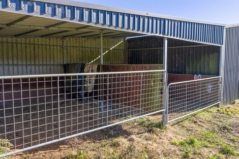 Photo of property in 310 Mystery Creek Road, Ohaupo, 3881