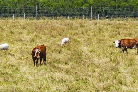 Photo of property in 428 Kowai Road, Springfield, 7681