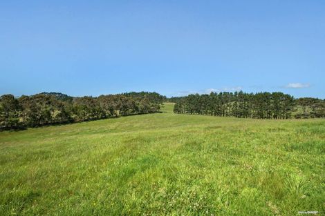 Photo of property in 141 Amreins Road, Taupaki, Henderson, 0782