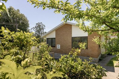 Photo of property in 266b Ngatai Road, Otumoetai, Tauranga, 3110