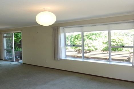 Photo of property in 54 Springfield Road, St Albans, Christchurch, 8014