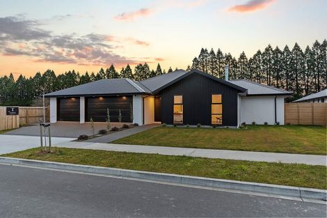 Photo of property in 46 Memorial Crescent, Methven, 7730