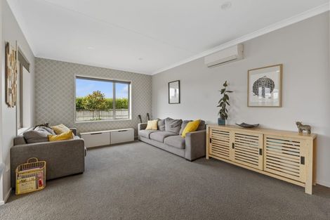 Photo of property in 20 Larlin Drive, Hawera, 4675