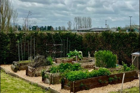 Photo of property in 574 Wardville Road, Wardville, Waharoa, 3474