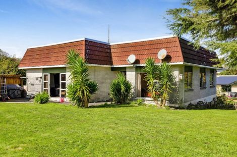 Photo of property in 19 Tybalt Street, Stratford, 4332