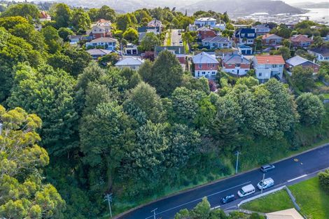 Photo of property in 20a Mcgeorge Avenue, Mornington, Dunedin, 9011