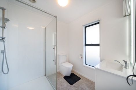Photo of property in 8 Peppertree Lane, Woodridge, Wellington, 6037