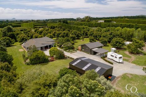 Photo of property in 824b Pyes Pa Road, Pyes Pa, Tauranga, 3173