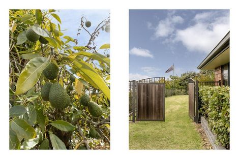 Photo of property in 45 Contour Avenue, Pyes Pa, Tauranga, 3112