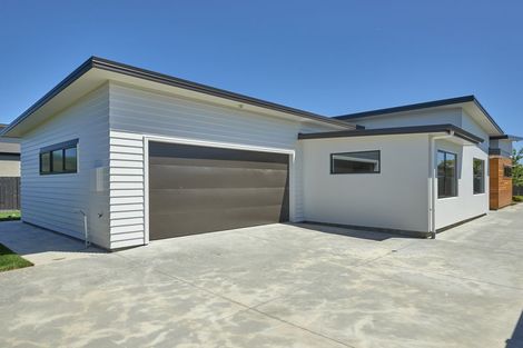 Photo of property in 9 Summerhays Street, Terrace End, Palmerston North, 4410
