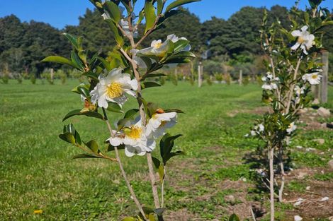 Photo of property in 35 Woven Stone Way, Ohau, 5570