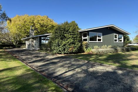 Photo of property in 36 Arnott Street, Feilding, 4702