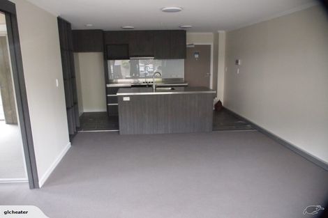 Photo of property in Frame Apartments, 203/111u Molesworth Street, Thorndon, Wellington, 6011
