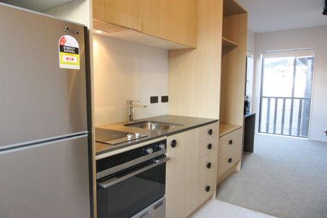 Photo of property in Vedado Apartments, 204/41u Hopper Street, Mount Cook, Wellington, 6011