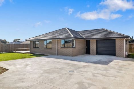 Photo of property in 77b Fairfield Road, Levin, 5510