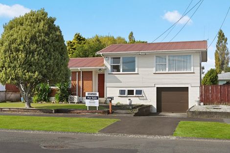 Photo of property in 143 Fitzroy Avenue, Fitzroy, Hamilton, 3206