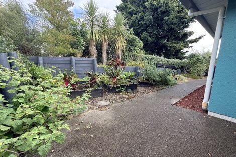 Photo of property in 40 Campbell Street, Havelock North, 4130