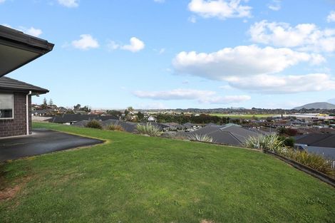 Photo of property in 373 Picquet Hill Road, Te Awamutu, 3800