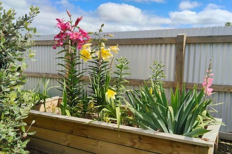 Photo of property in 25 Rhodes Street, Waimate, 7924