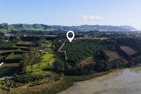 Photo of property in 229 Athenree Road, Athenree, Waihi Beach, 3177
