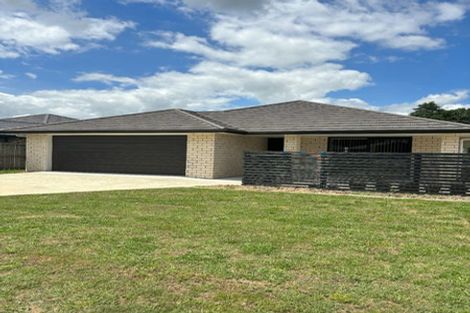 Photo of property in 7 Sargent Place, Otorohanga, 3900
