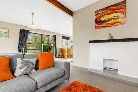 Photo of property in 59 Cobham Street, Spreydon, Christchurch, 8024