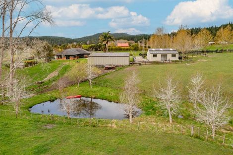 Photo of property in 255 Ararimu Valley Road, Helensville, Waimauku, 0882