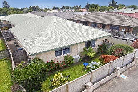 Photo of property in 61 Winchester Street, Levin, 5510