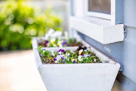 Photo of property in 7 Mcandrew Street, Kihikihi, Te Awamutu, 3800