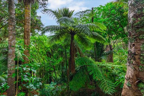 Photo of property in 338 Huia Road, Titirangi, Auckland, 0604