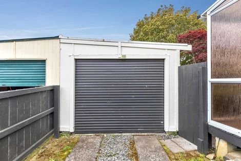 Photo of property in 58 Morvern Crescent, Tokoroa, 3420