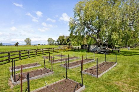 Photo of property in 815 Parallel Road, Ohaupo, 3881