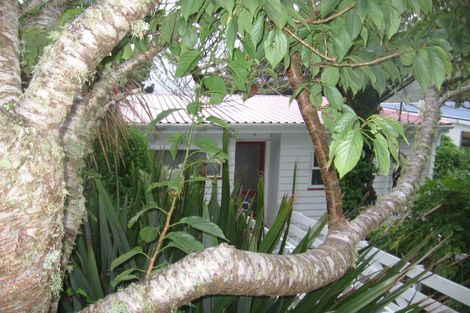 Photo of property in 47b Huntingdon Street, Northland, Wellington, 6012