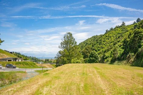 Photo of property in 60 Saddleback Road, Todds Valley, Nelson, 7071