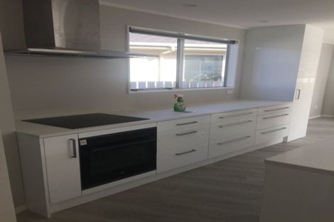 Photo of property in 271 Mitchell Street, Brooklyn, Wellington, 6021