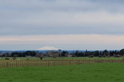 Photo of property in 33 Oriwa Lane, Levin, 5571