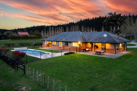 Photo of property in 255 Ararimu Valley Road, Helensville, Waimauku, 0882