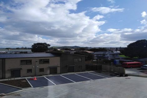 Photo of property in 16 Timata Lane, Favona, Auckland, 2024