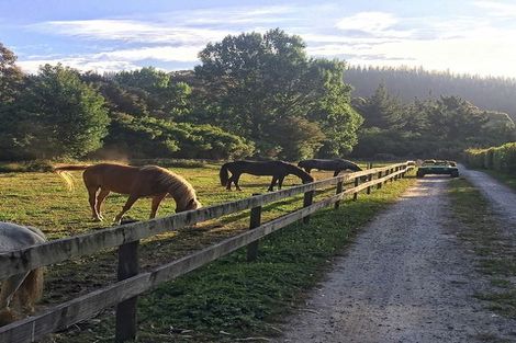 Photo of property in 217 Harvey Road, Marahau, Motueka, 7197