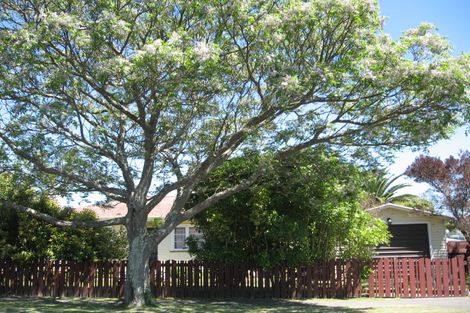 Photo of property in 1 Martin Road, Outer Kaiti, Gisborne, 4010