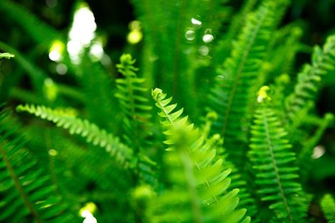 Photo of property in 14a Puriri Road, Waikanae, 5036