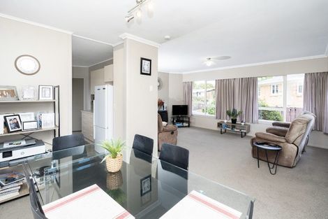 Photo of property in 43 Lewis Street, Glenview, Hamilton, 3206